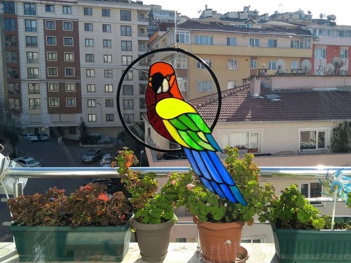 Macaw Bird in Stained Glass Suncatcher Whirl