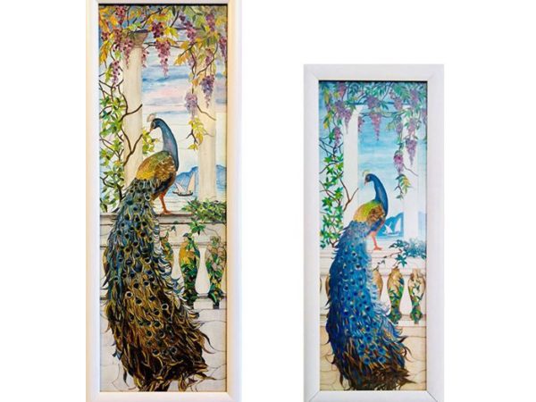 Peacock-1-both_picture